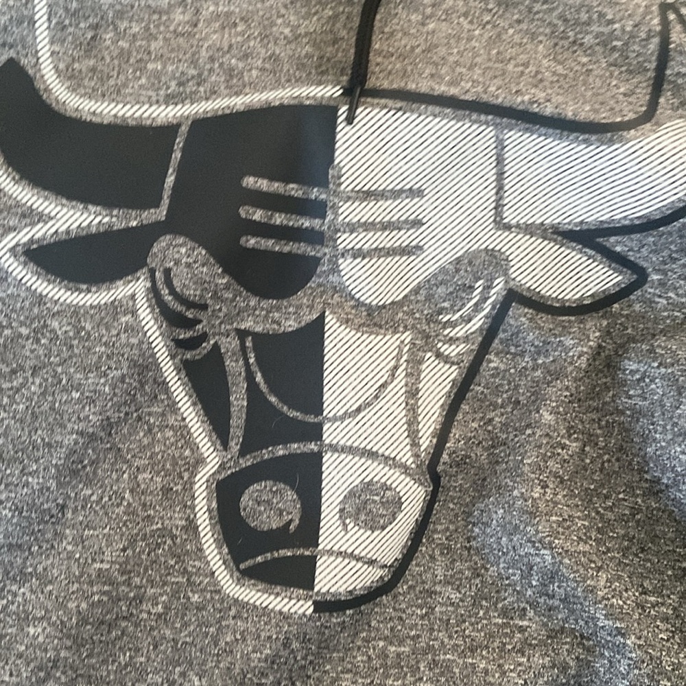 NBA Chicago Bulls gray hoodie - Picture 2 of 7